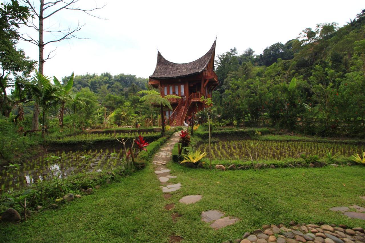 Padi Ecolodge Bukittinggi Luaran gambar