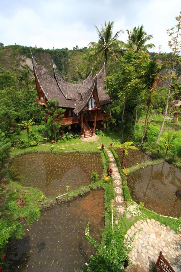 Padi Ecolodge Bukittinggi Luaran gambar