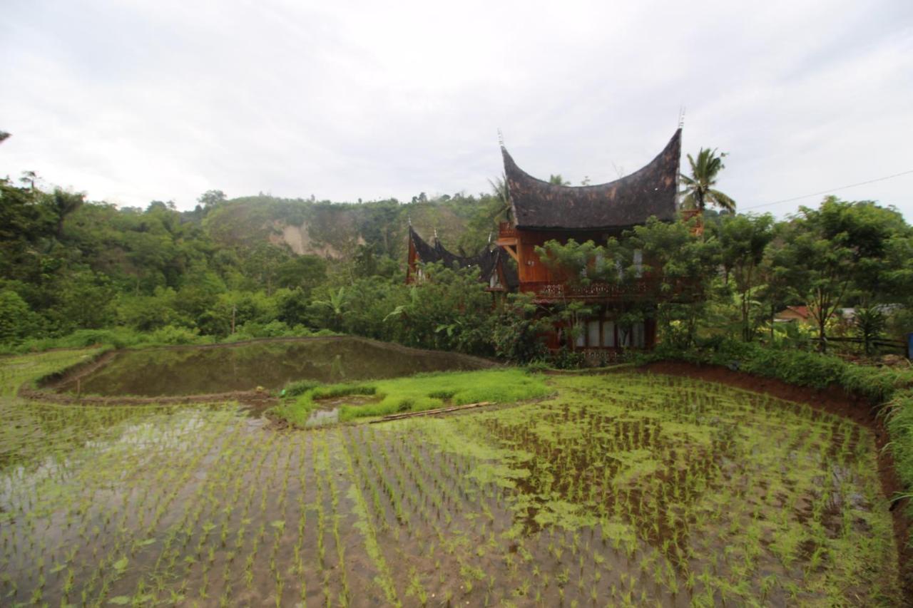 Padi Ecolodge Bukittinggi Luaran gambar